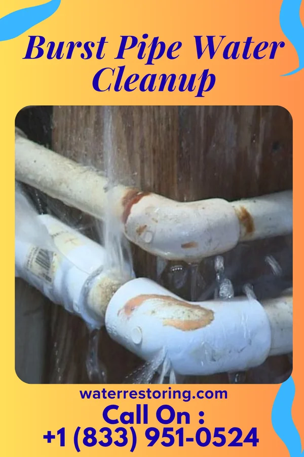 Burst Pipe Water Cleanup in De Soto, IA