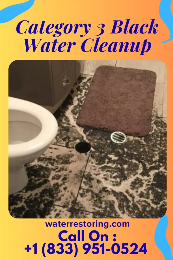 Category 3 Black Water Cleanup in De Soto, IA