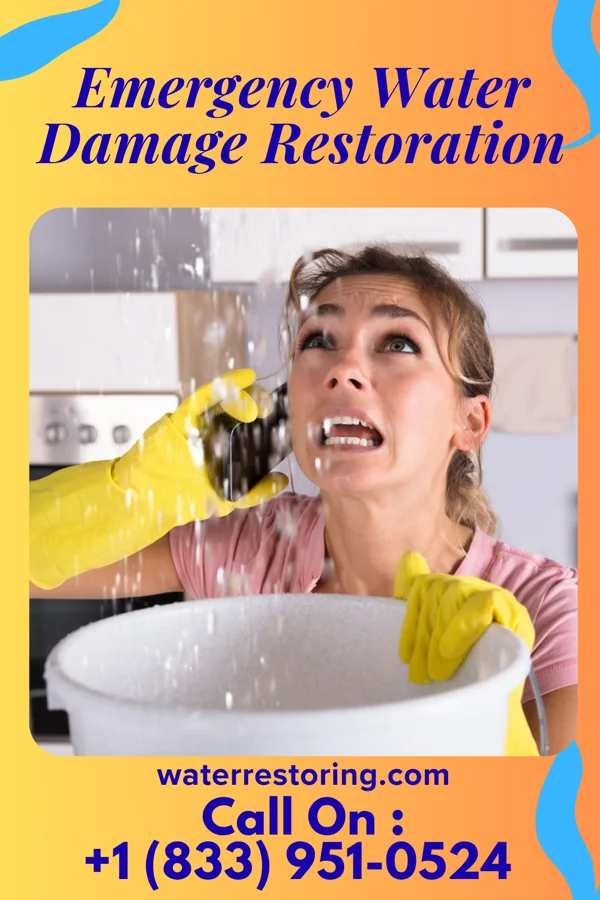 Emergency Water Damage Restoration in De Soto, IA