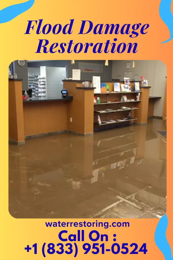 Flood Damage Restoration in De Soto, IA