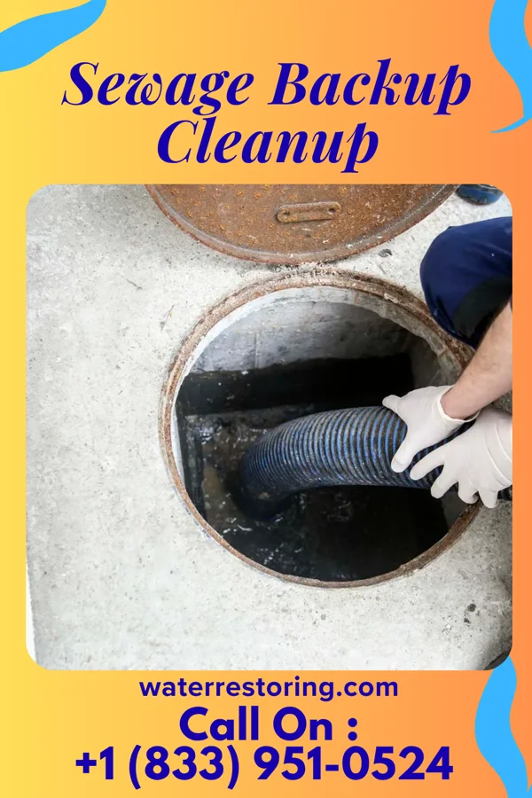 Sewage Backup Cleanup in De Soto, IA